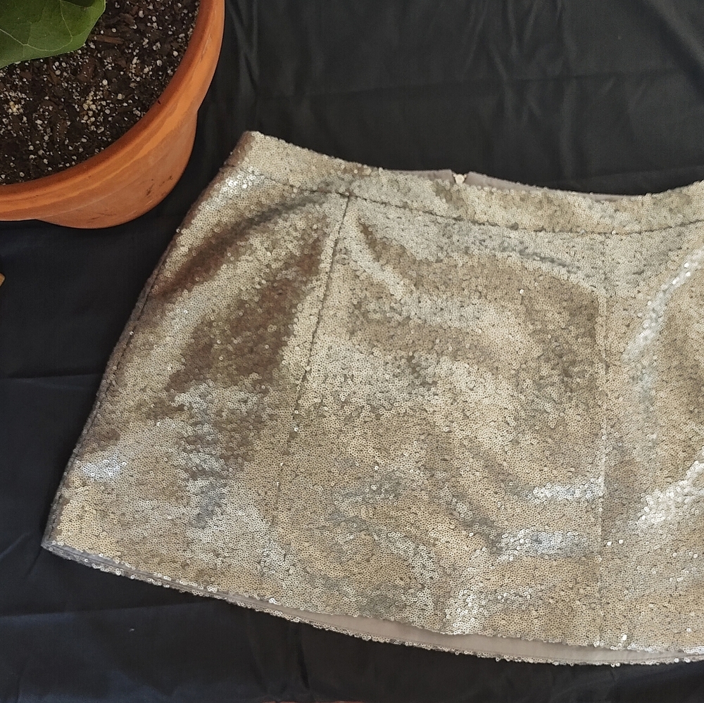 Decree Silver Sequin Skirt
